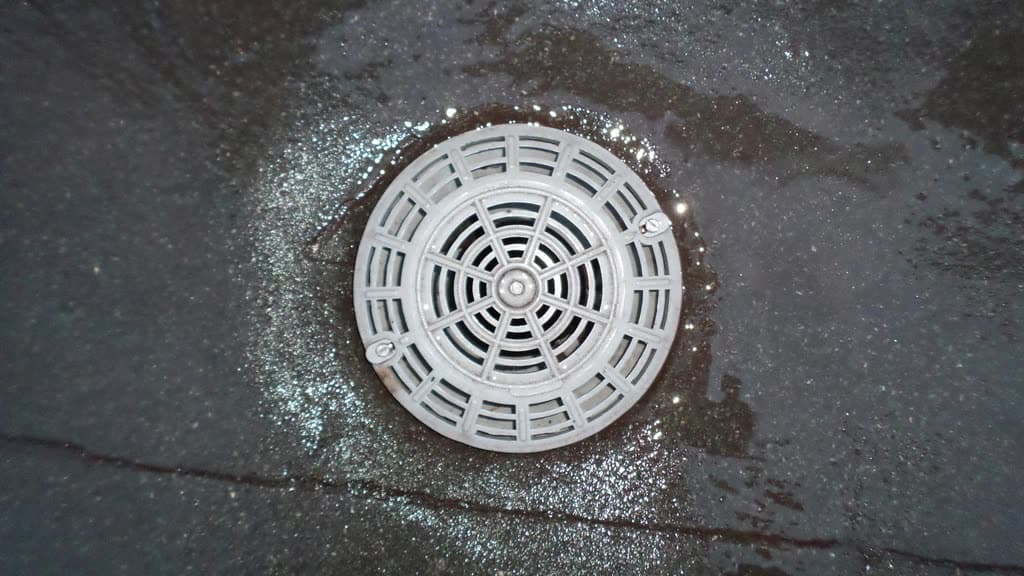 Round gray floor drain cover set in a wet concrete floor